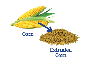 Corn-to-Extruded-Corn_Ingredient-pics-for-web.png