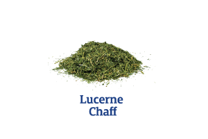 Lucerne-Chaff_Ingredient-pics-for-web.png