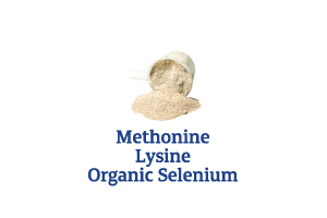 Methionine-Lysine-Organic-Selenium_Ingredient-pics-for-web.png
