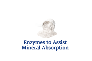 Enzymes-to-Assist-Mineral-Absorption_Ingredient-pics-for-web.png