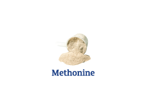 Methionine_Ingredient-pics-for-web.png