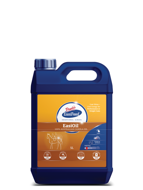 600x800px_EasiOil-Front.png