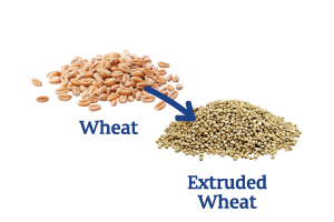 Wheat-to-Extruded-Wheat_Ingredient-pics-for-web.png