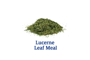 Lucerne-Leaf-Meal_Ingredient-pics-for-web.png