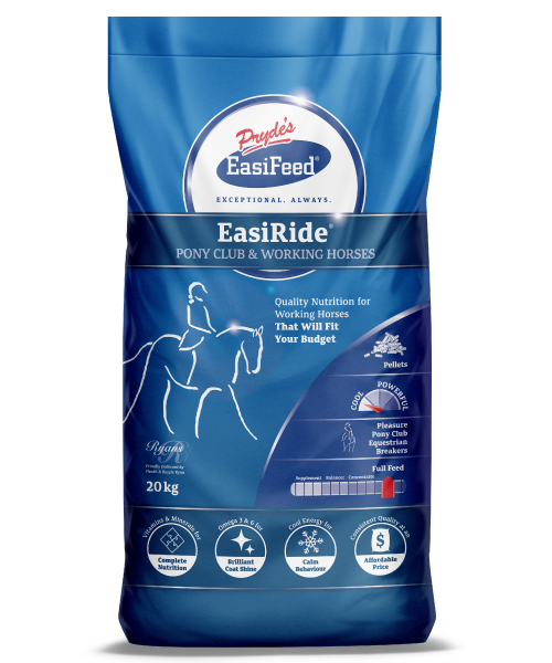 EasiRide