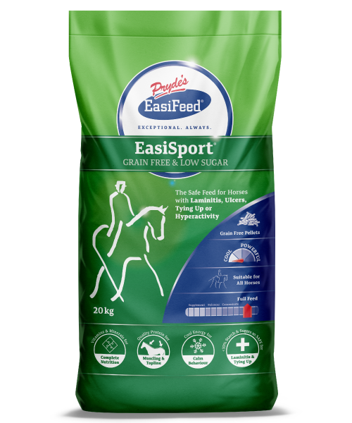 EasiSport