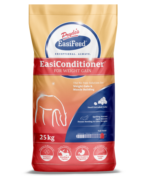 Weight Gain Supplements For Horses Uk Blog Dandk