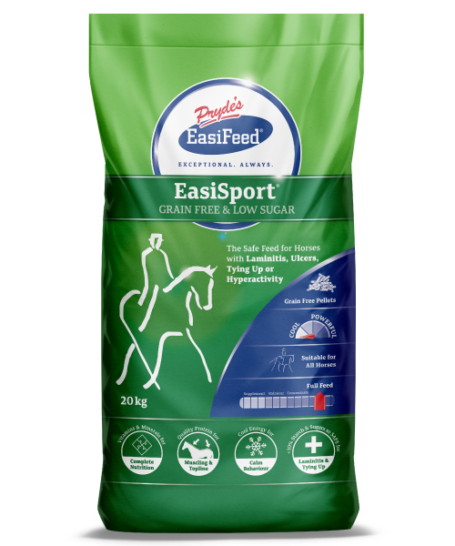 EasiSport