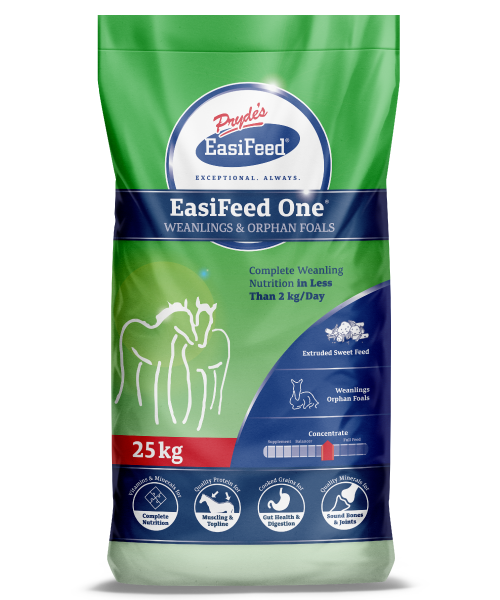 EasiFeed One Weanling