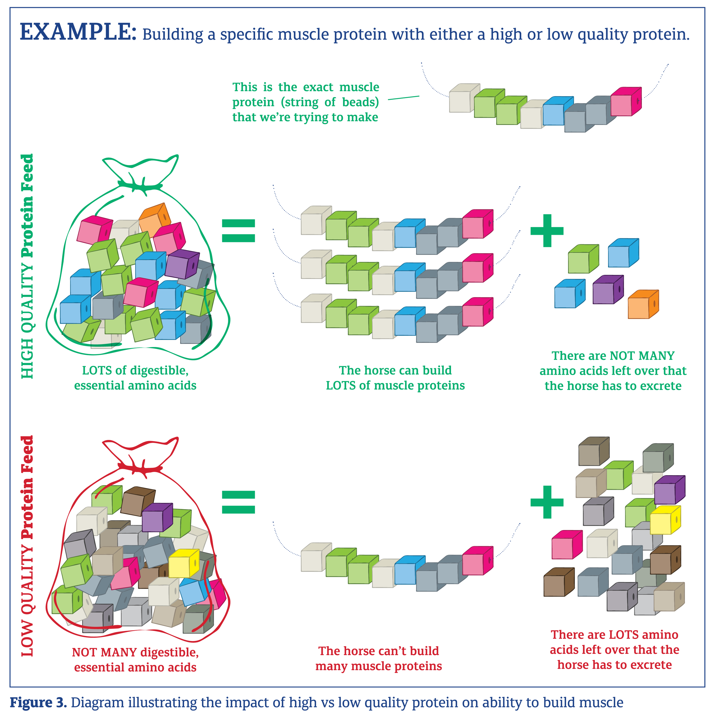 Protein Quality Pages_pic from Promo book_Sept18-03.png