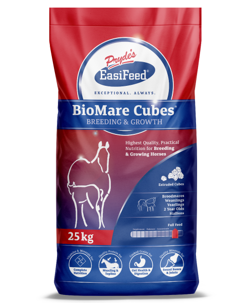 BioMare Cubes ® Best Breeding Mare And Foal Feed Pryde's EasiFeed