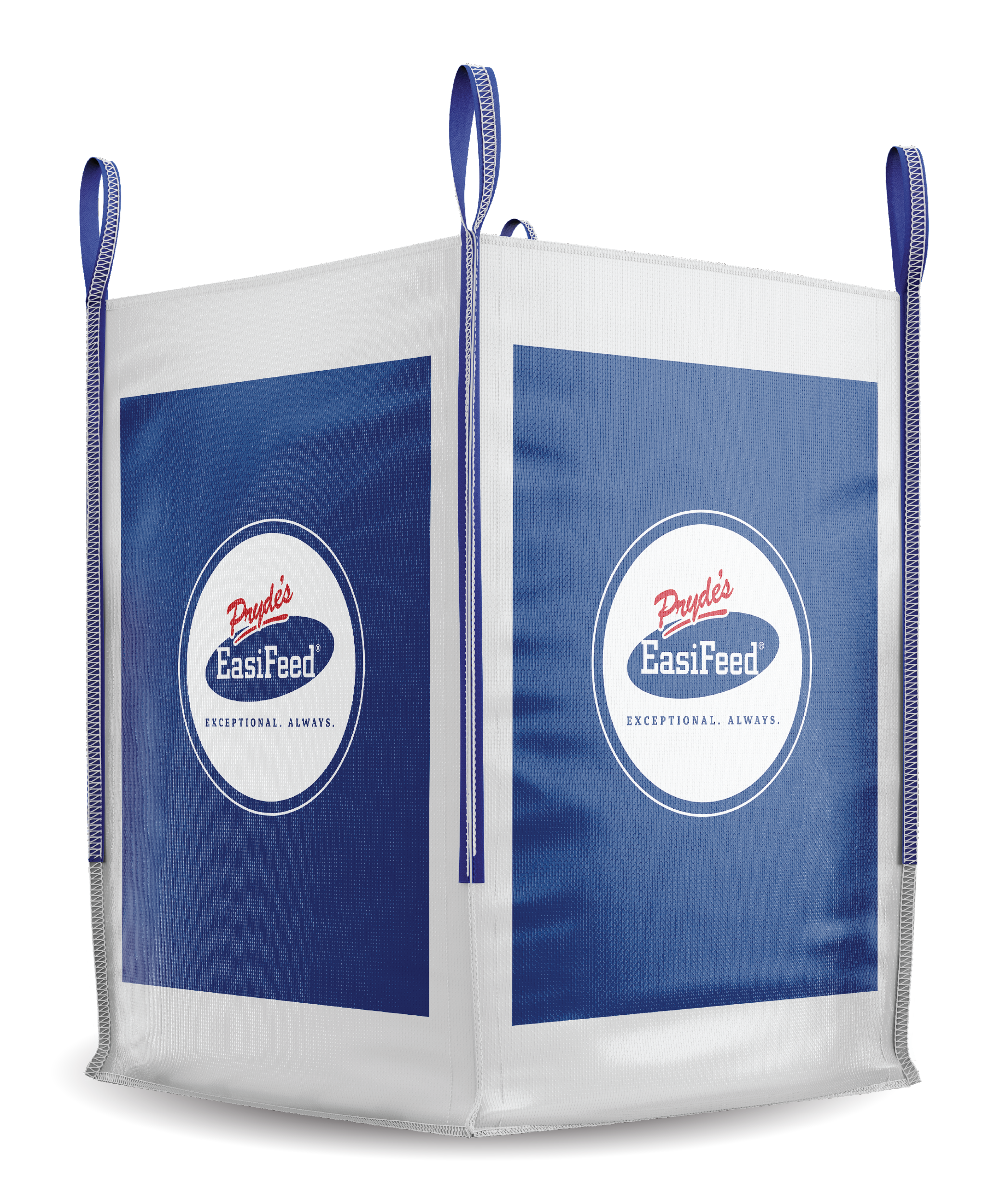 Generic_bulk bag mockup.png.png