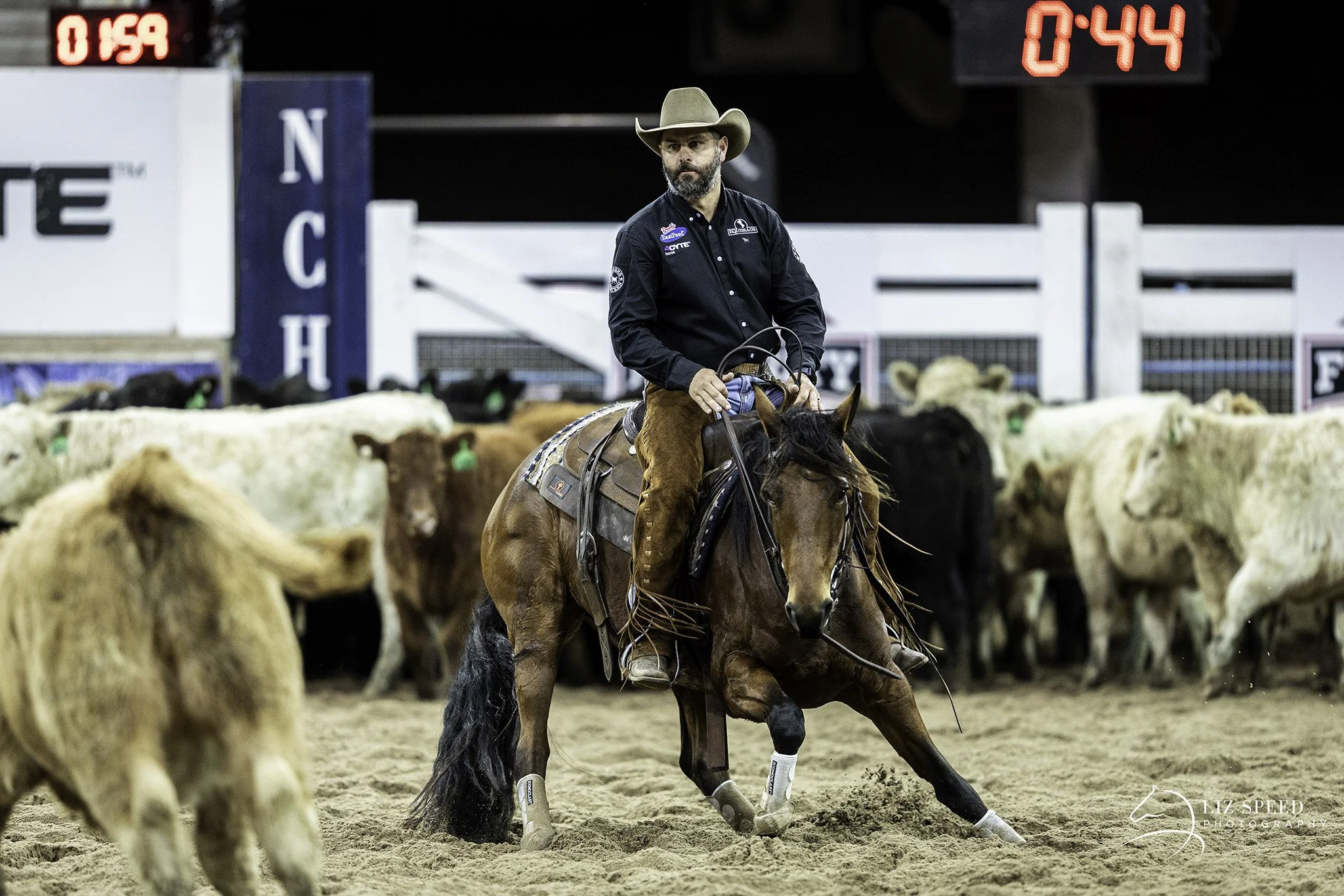 From fussy eaters to calm performers: How Pryde’s EasiMash made a difference for Dan Steers