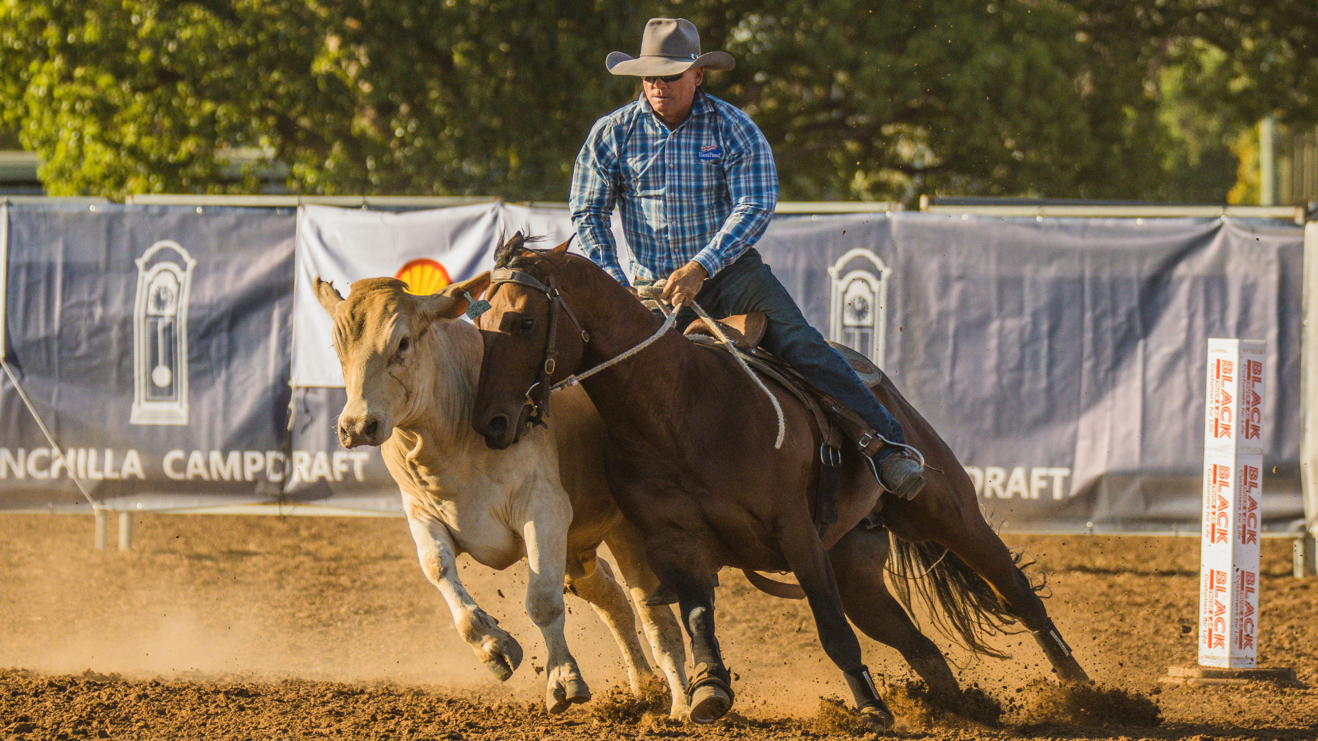 Pete Comiskey celebrates the next generation as 2026 Gold Buckle Campdraft Championship continues