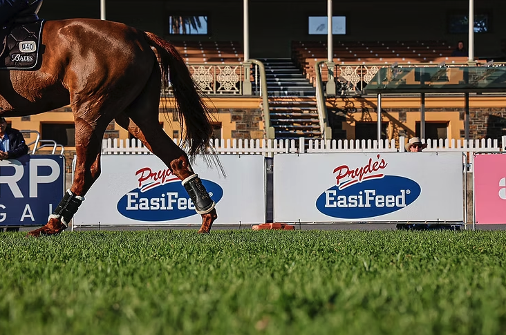 Pryde’s EasiFeed Extends Long-Standing Partnership with Adelaide Equestrian Festival for a further three years