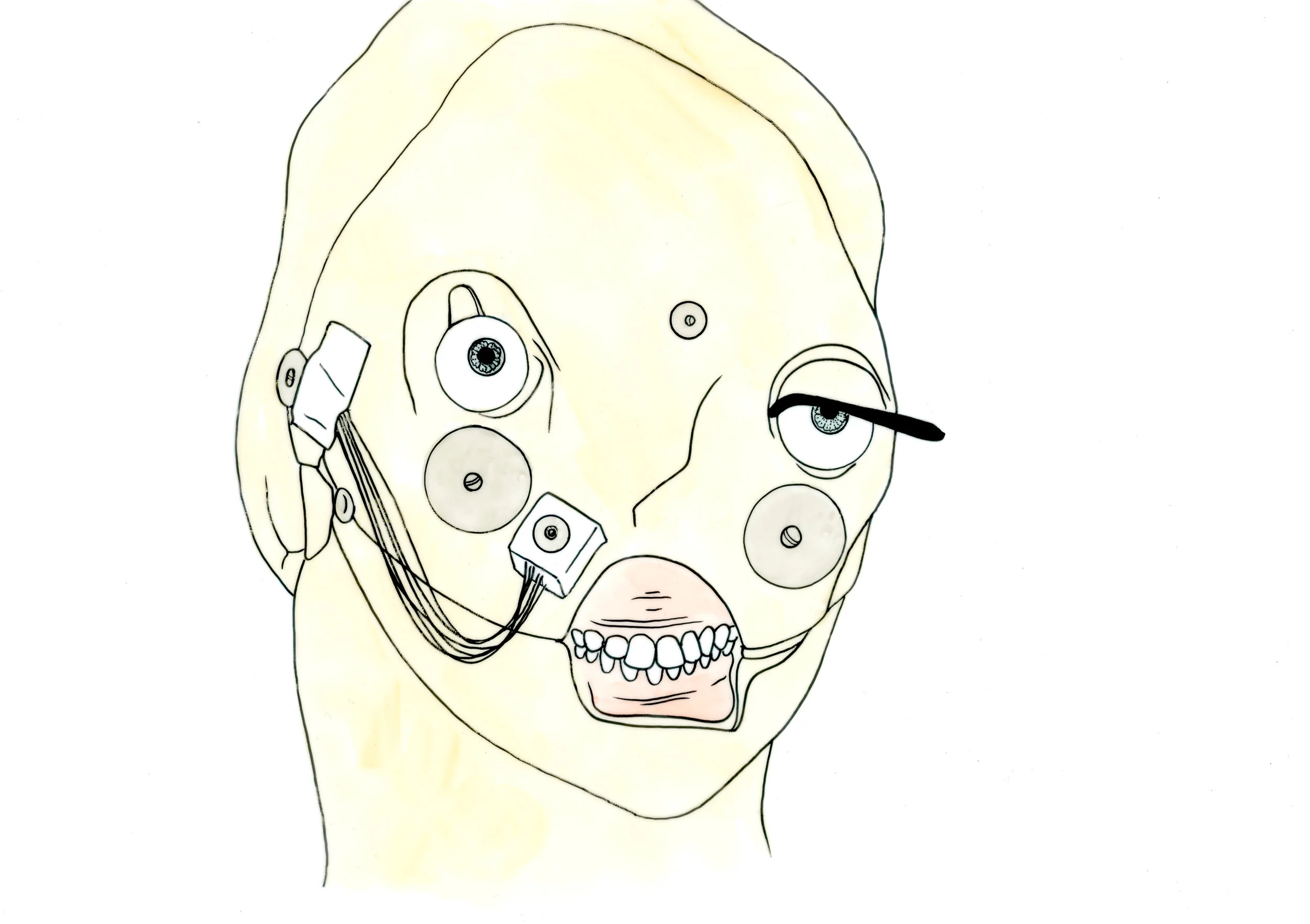 a stacy (from an incel glossary of terms π)