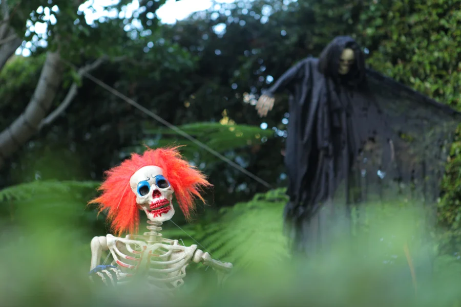 clownPOVshot-1.jpg