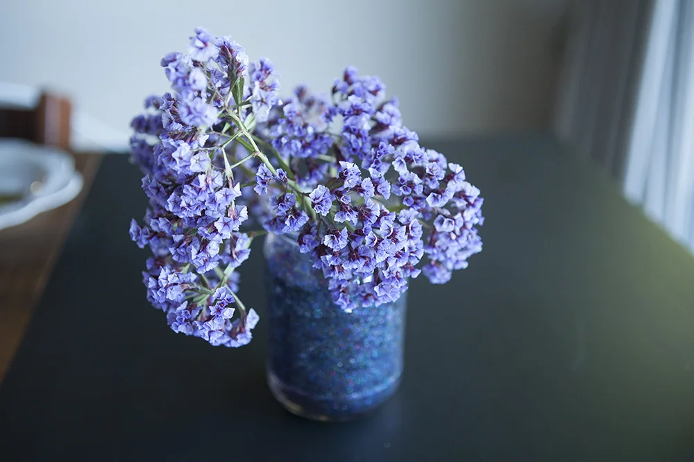 nbpurple.jpg