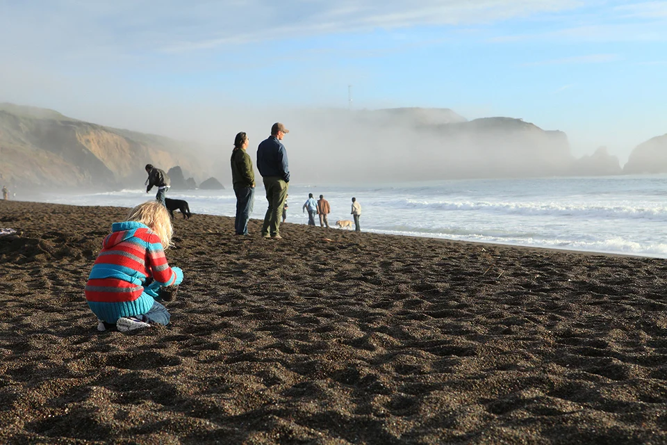 PageImage-501402-2813016-NBSFfogbeach.jpg