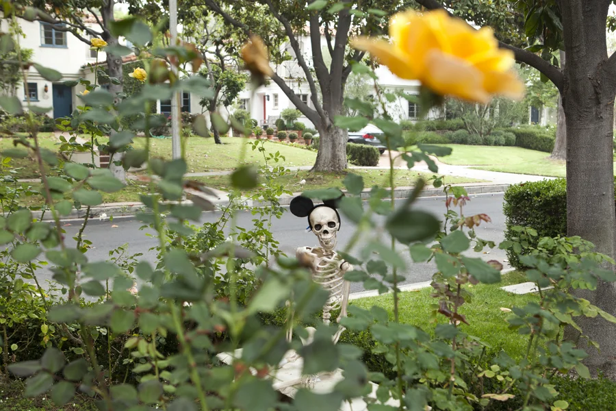 skeldisney.jpg