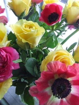 blommor webb