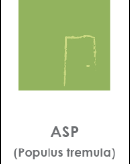 Asp