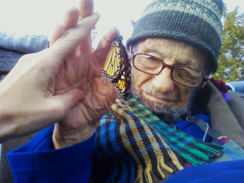 Wolfgang's friend Tara holds his hand while a newly emerged monarch butterfly dries its wings.