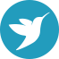 bluebird.jpg