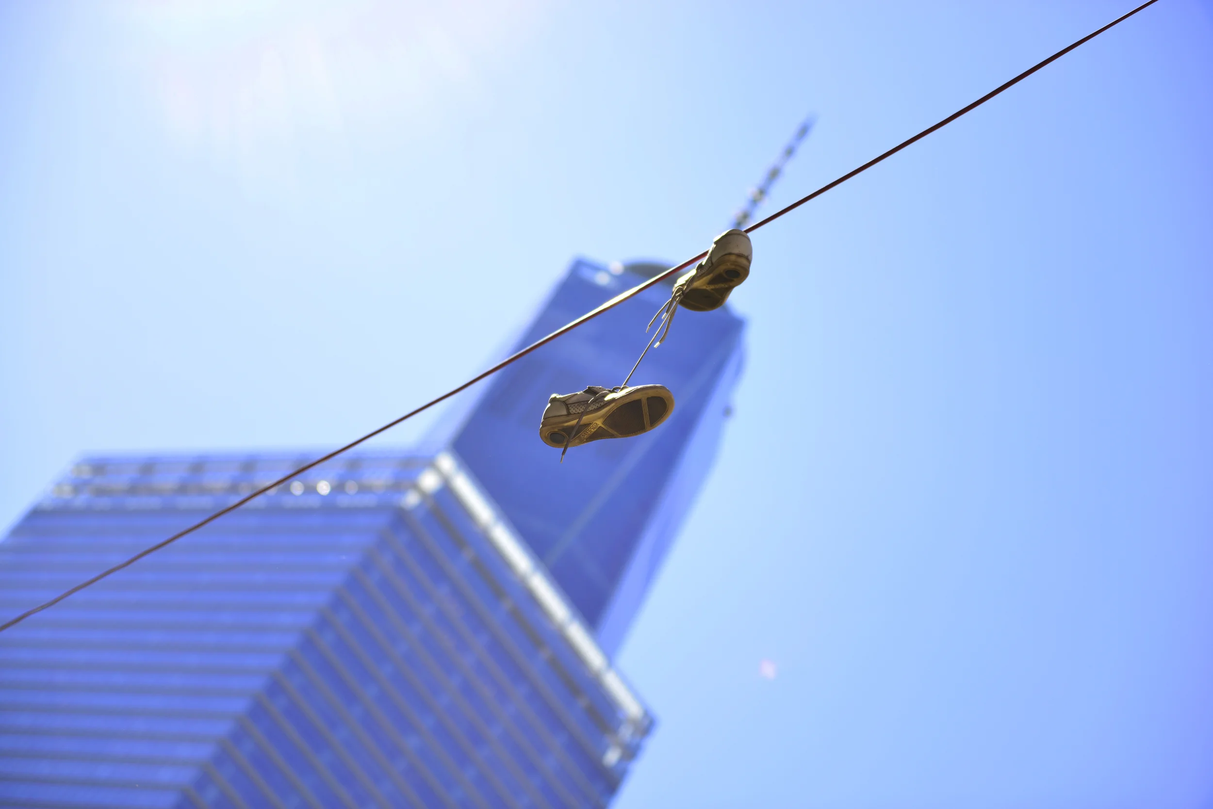Hanging By Freedom