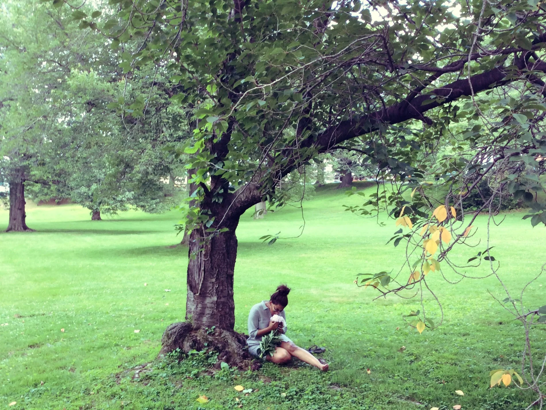 Verona Park. West Orange, New Jersey 2015