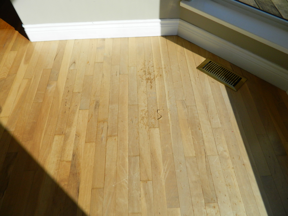 Bacca Sealer Recent Work Tw Doll Quality Hardwood Flooring