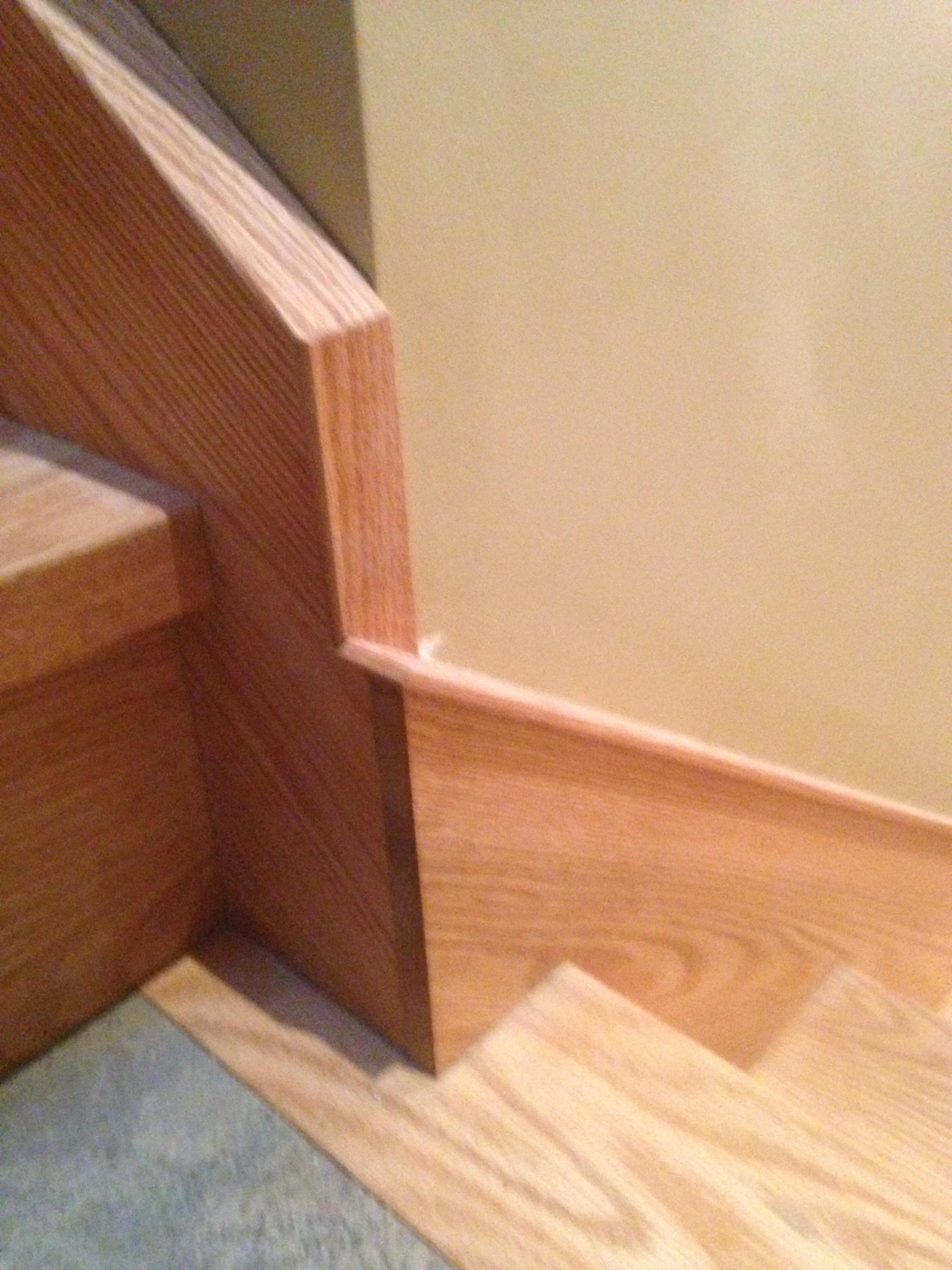 2014-12-20 12.51.04.JPG