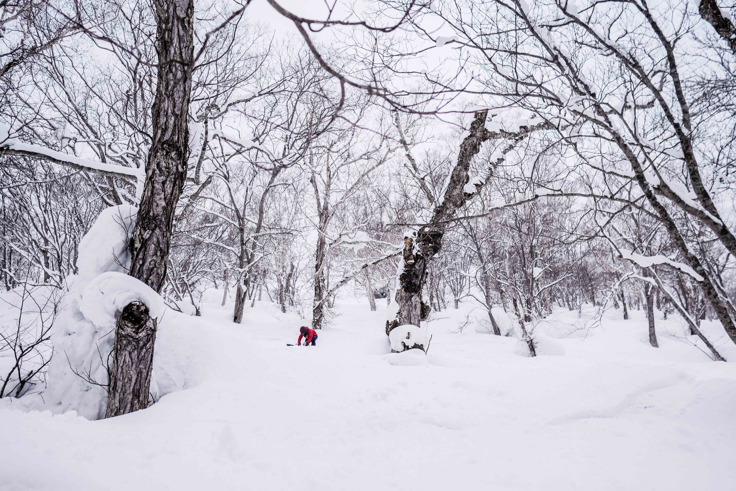 BPRSNT CHANELLE SLADICS SNOWBOARDING JAPAN POWDER.jpg