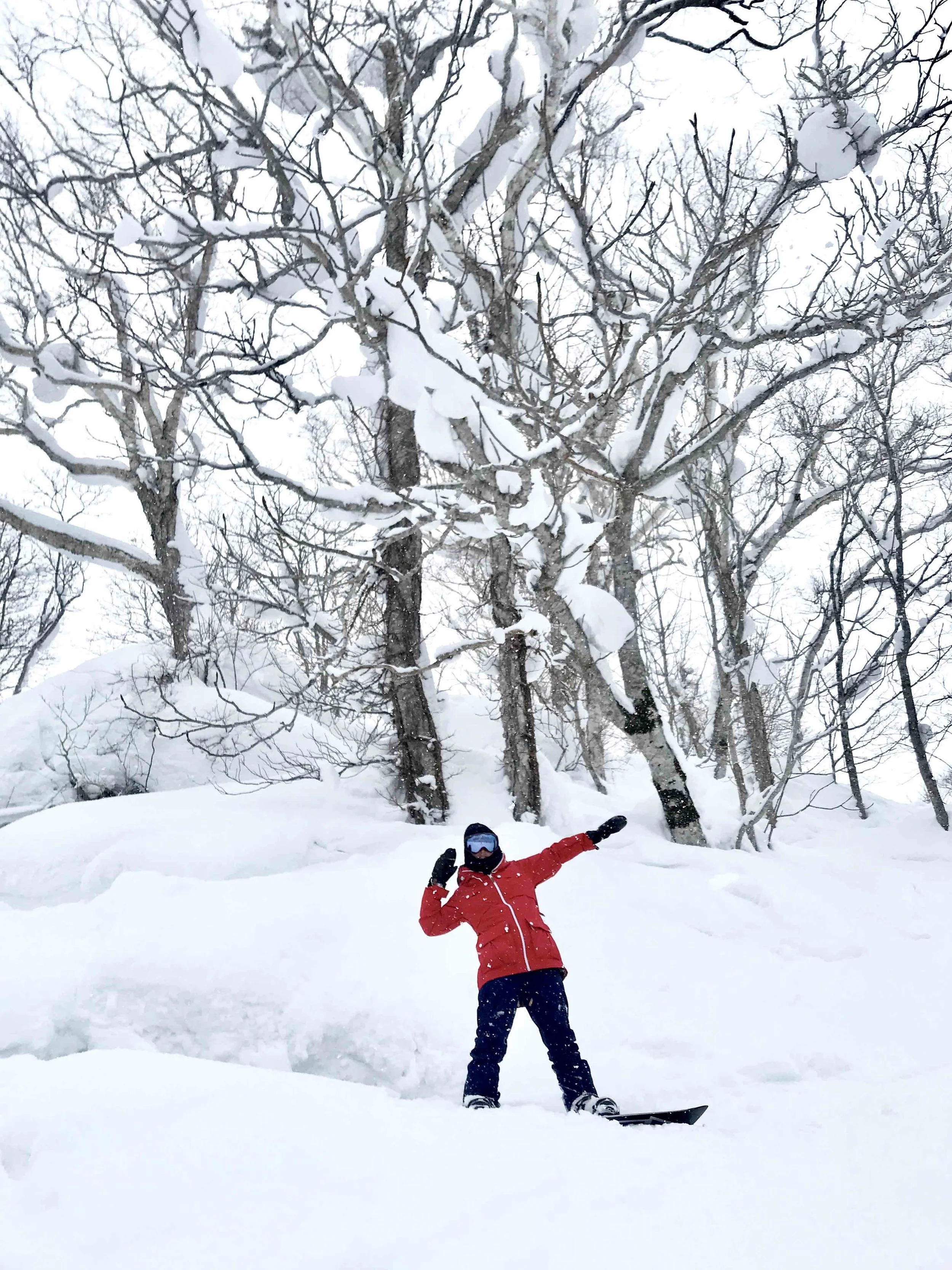 THE POWDER IS THIS WAY —>>