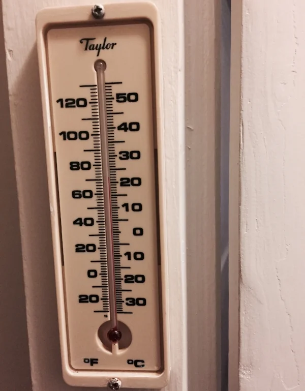 FullSizeRender 96.jpg