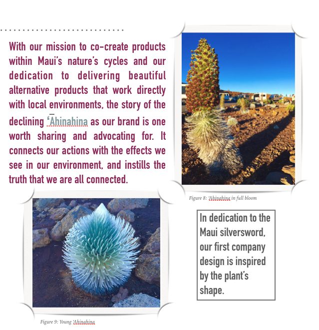 Screen Shot 2019-05-24 at 12.56.08 PM.png