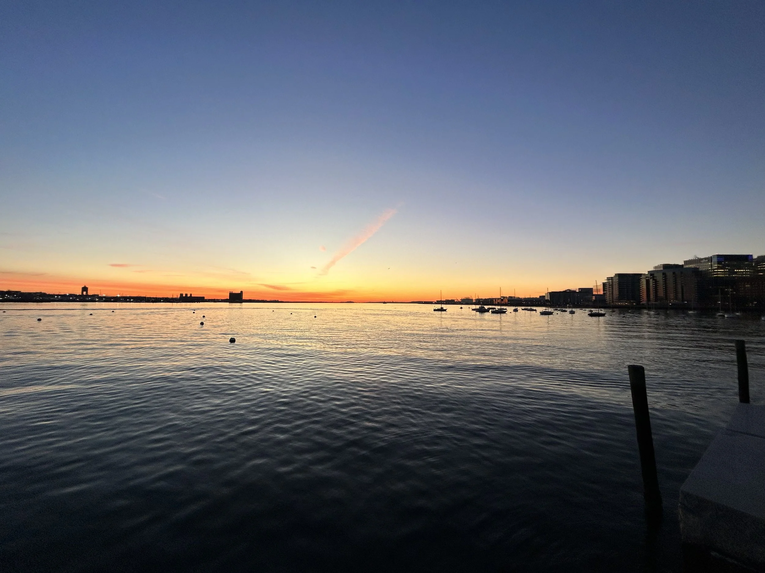 IMG_0780.jpeg