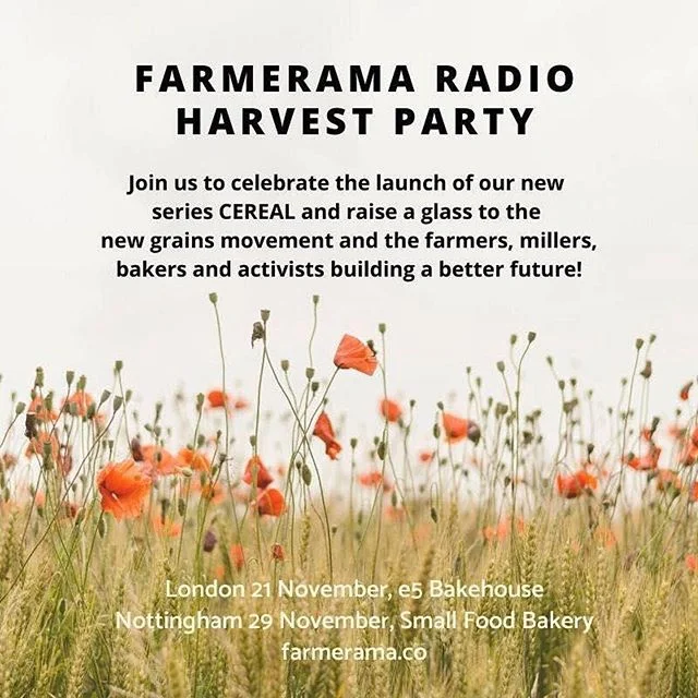 UK Grain Lab — Small Food Bakery