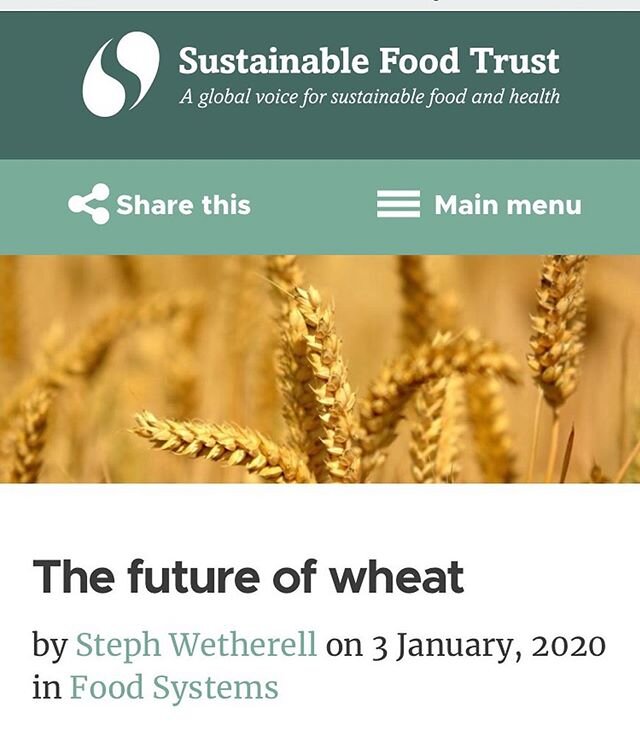 #Repost @steph_wetherell
・・・
The second article in my series about grain for @susfoodtrust is live - this one explores the people and ideas that are working towards creating a grain system for the future. For me, it's been an incredibly exciting area
