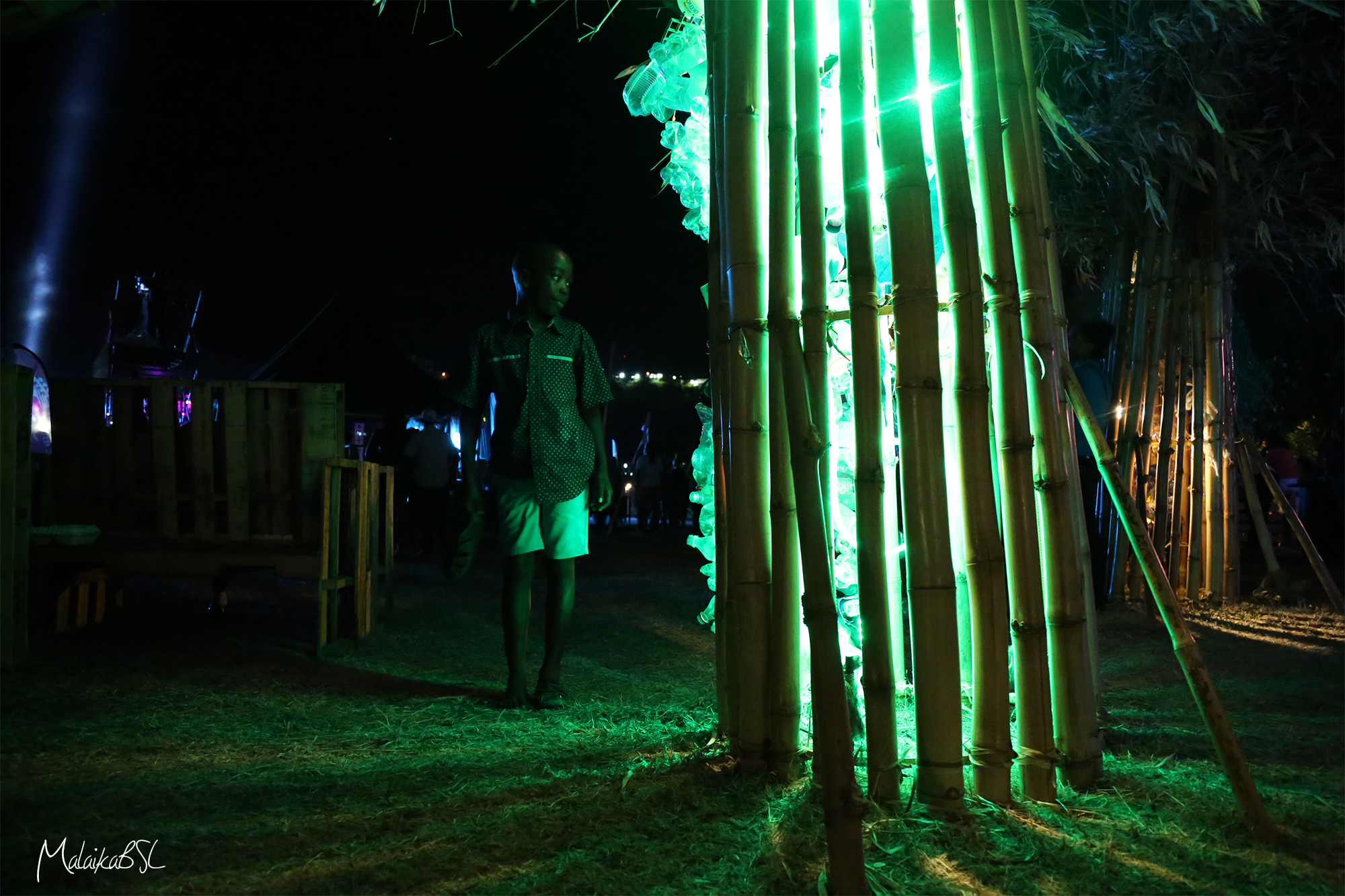 Young man exploring the forest
