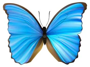 Yoga… guía de vida