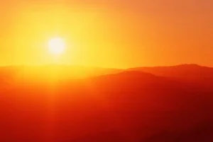 Una profesión con propósito