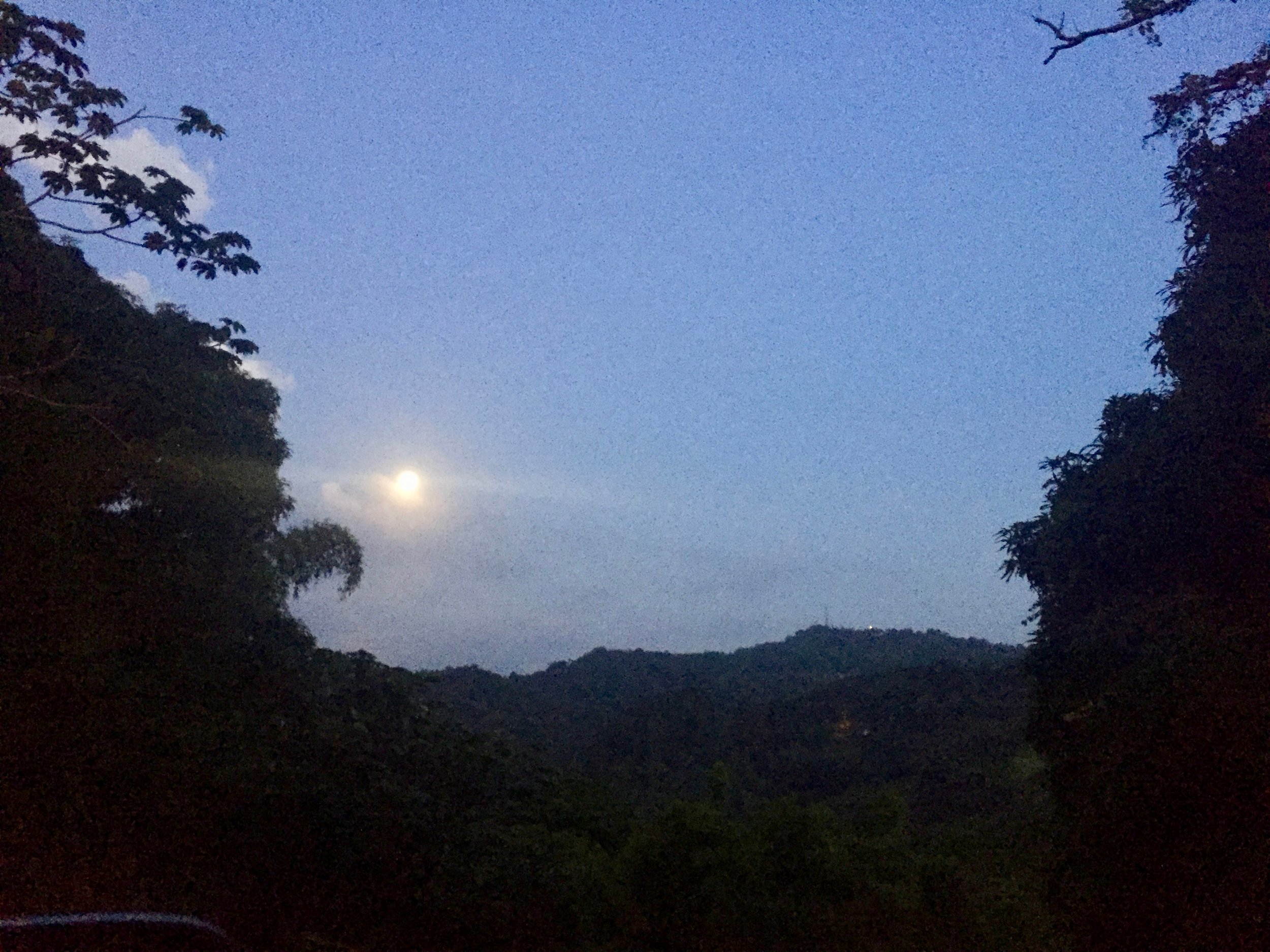 Sugerencias prácticas y meditativas para antes, durante y después del temblor o la tormenta