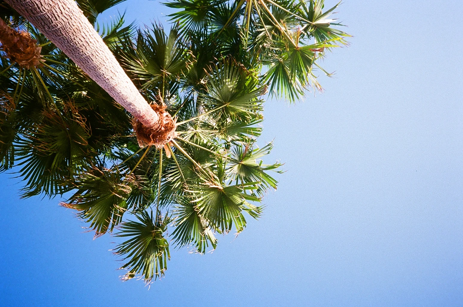 000029370036.jpg