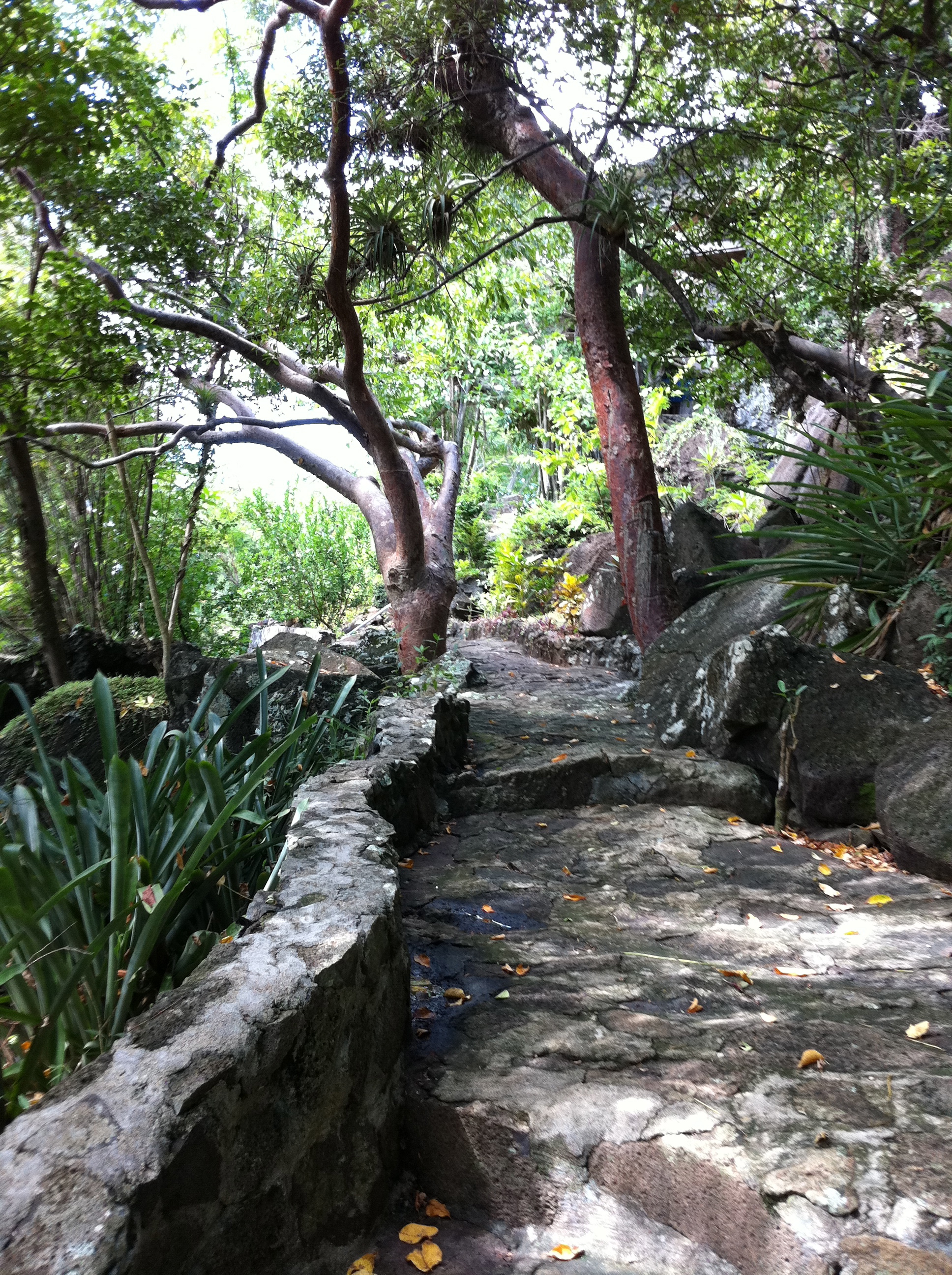 a path