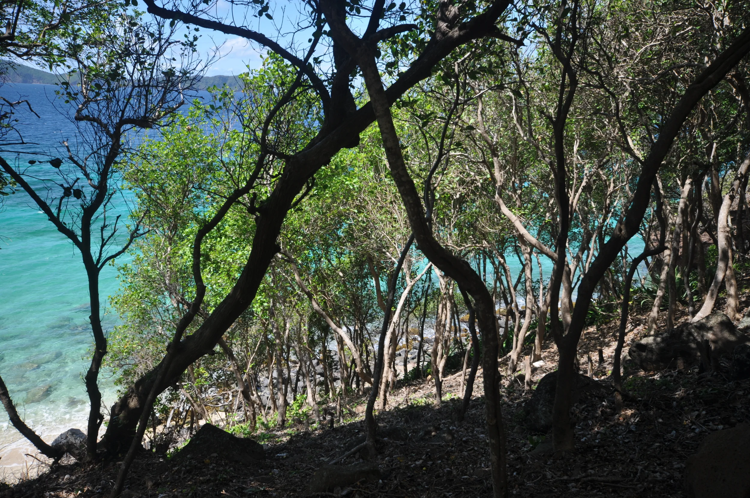 DSC_0589.JPG