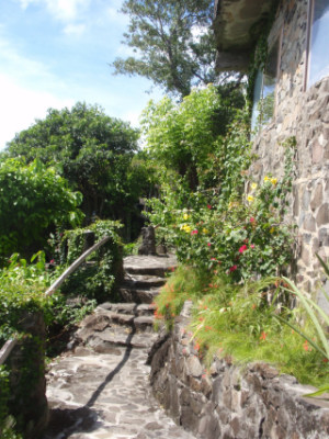 Steps below Agnew-Hall House