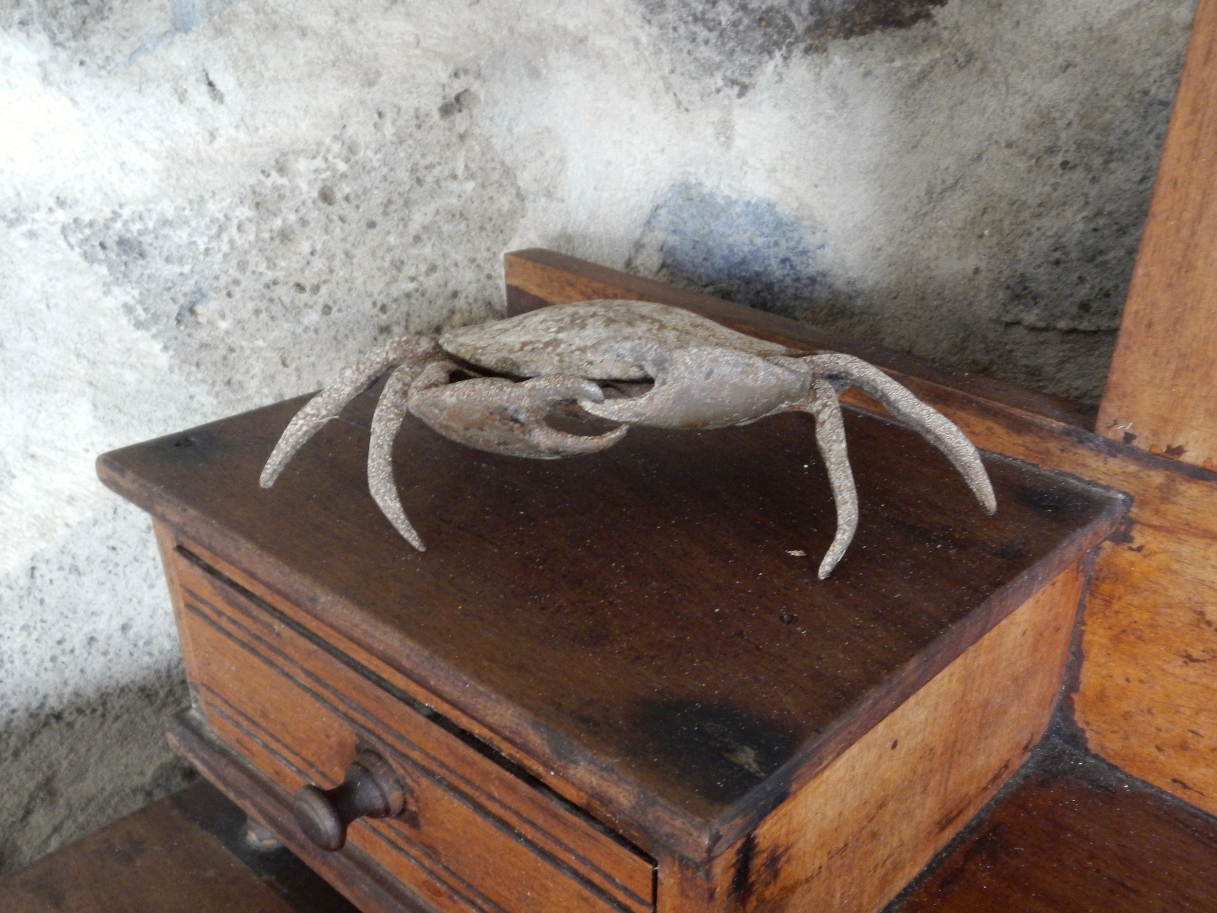 The Crab