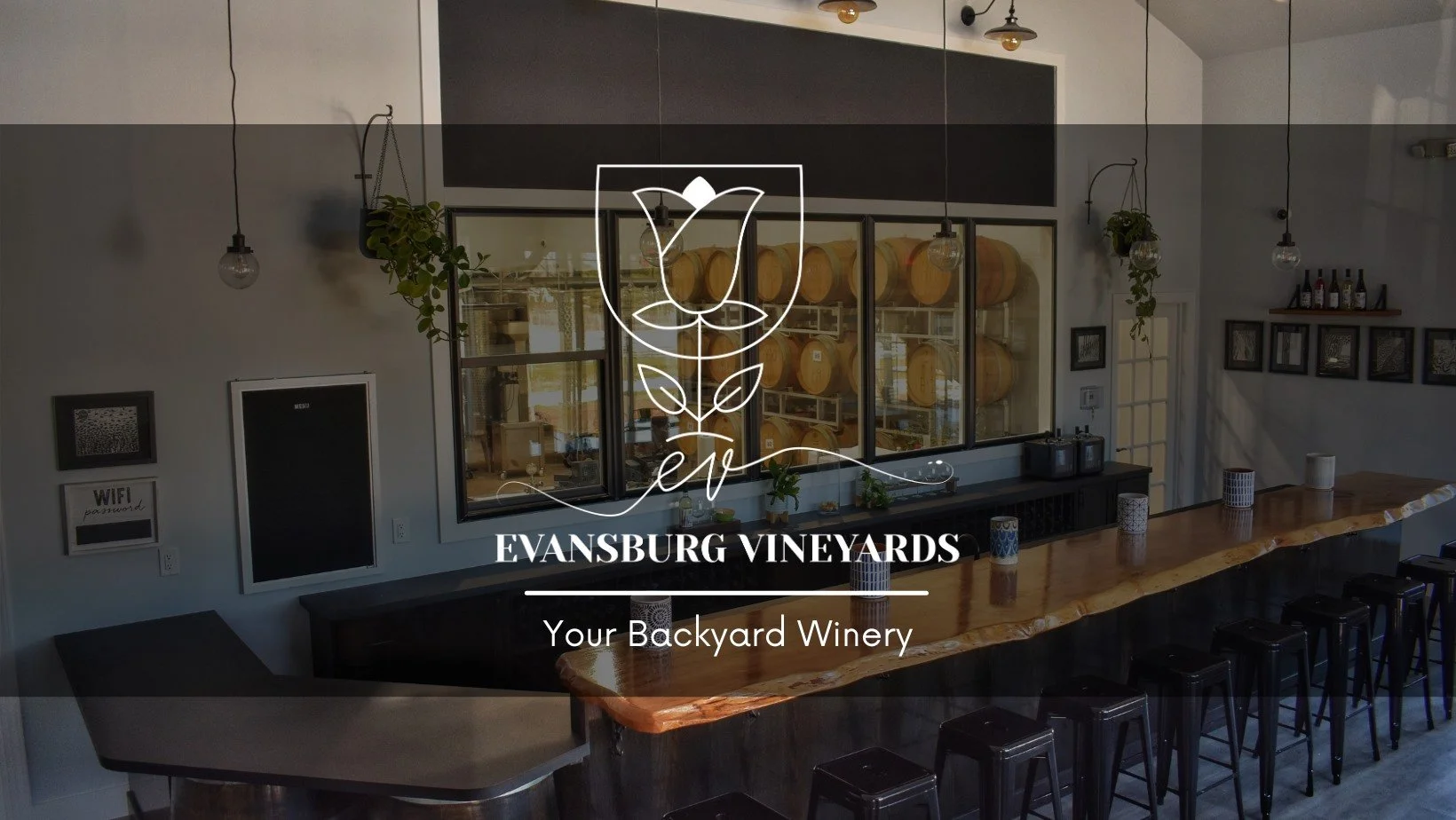  Evansburg Vinyard