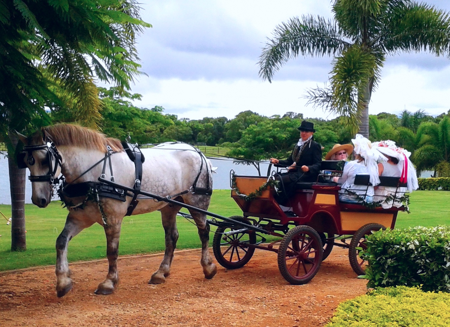 With the help of horses and carriages, the Kauai Historical Society's Victorian Tea takes a trip back in time...a time when the last Hawaiian Kings and Queens rode in their own royal carriages, just like the royal families of Europe